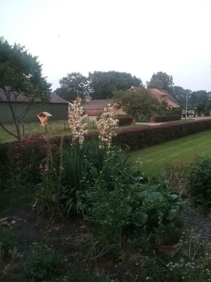 B&B An De Kraloerweg Ruinen Exteriör bild